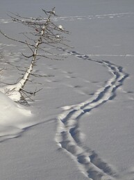 ������ ������� � Karjaa, 27 ������