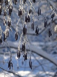 ������ ������� � Karjaa, 27 ������