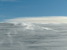 ������ ����� �� ���������, 29 �����