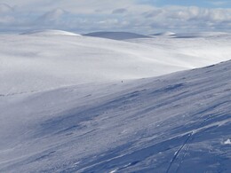 ������ ����� �� ���������, 29 �����