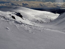 ������ ����� �� ���������, 29 �����