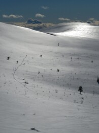 ������ ����� �� ���������, 29 �����