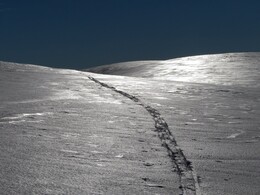 ������ ����� �� ���������, 29 �����