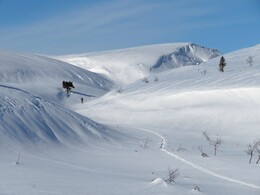 ������ ����� �� ���������, 29 �����