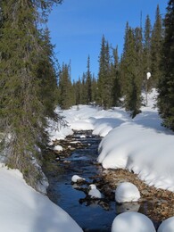 ������ ����� �� ���������, 29 �����