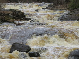 ���� ����� � ���������, 13 ������