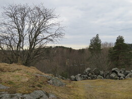 �������� ����� ���������, 13 ������