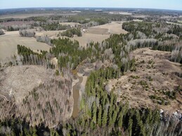 ���� Kuusjoki, 21 ������