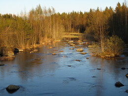 �������� ����� �������, 5 ���