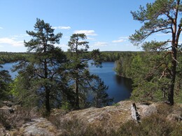 �������� � ����� Tejo, 14 ���