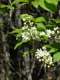 �������� � ����� Tejo, 14 ���