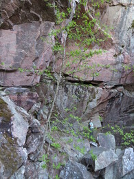 ����� ����; �������� � ����� Tejo, 14 ���