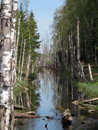 ����-������ ��� ��������, 19 ���