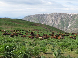 �����������, 8 ����