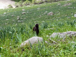 �����������, 10 ����