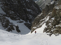 �����������, 11 ����