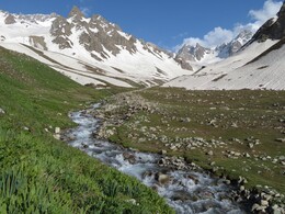 �����������, 14 ����