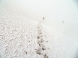 �����������, 15 ����