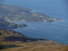 ���� ������, ��������, 29 ����