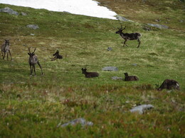 ���� ������, ��������, 30 ����