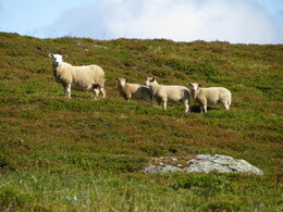 ���� ������, ��������, 30 ����