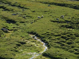 ���� ������, ��������, 30 ����