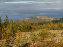 ������� �� ���������, ����� - ����, 20 ��������