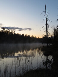 ������� �� ���������, ����� - ����, 21 ��������