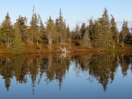 ������� �� ���������, ����� - ����, 21 ��������