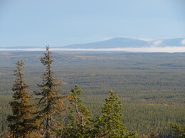 ������� �� ���������, ����� - ����, 21 ��������