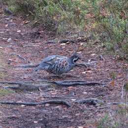 ������� �� ���������, ����� - ����, 21 ��������