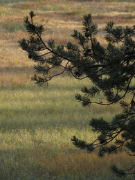 ������� �� ���������, ����� - ����, 22 ��������