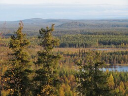 ������� �� ���������, ����� - ����, 23 ��������