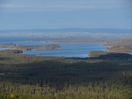 ������� �� ���������, ����� - ����, 23 ��������