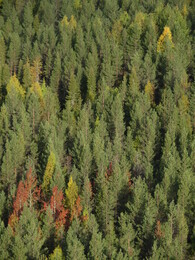 ������� �� ���������, ����� - ����, 23 ��������