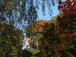 �������� ����� �����������, 28 ��������