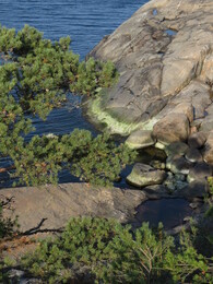 �������� � ��������, 28 ��������