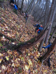 ����� � �� � �����������, 12 �������