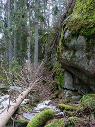 13 ������, �������� � Nuursio