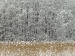 23 ������, �������� � Herttoniemi