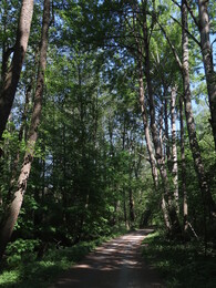 27 ���, ���������