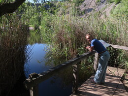 � ������ � �.�. � �.�. � ����