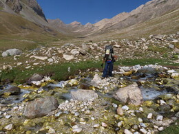 ������ ���� ���������