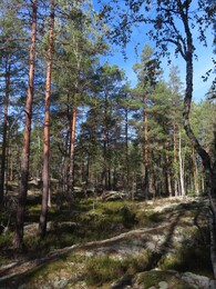 22 ��������, �������� � ������� � C.N.