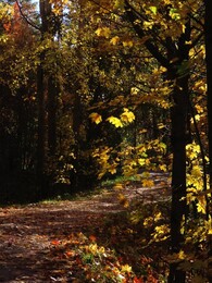 16 �������, Herttoniemi