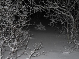 26-30 �������, ������ ������� � ����� ���� ���������