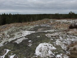  Klassarinkallio