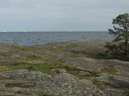 large ships
