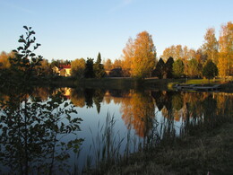     Mäntyharju