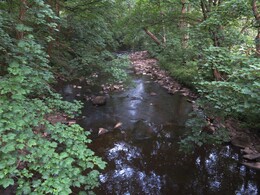  Wyre
